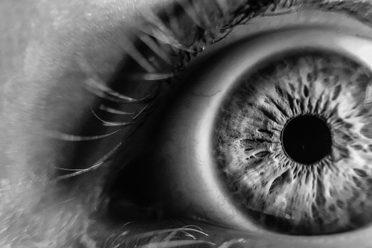 We are Close to Creating the First Artificial Eye for Humans