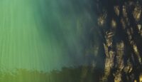 Dark Oxygen Found on the Seafloor Could Limit Mining for Battery Minerals