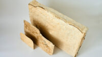 New Study Shows Advantages of Mycelium for Sustainable Materials