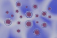 AI Technology Can Identify Cancer Drug Targets