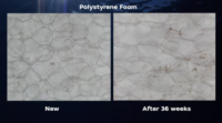 New Biodegradable Plastic Outperforms Paper in Ocean Decomposition